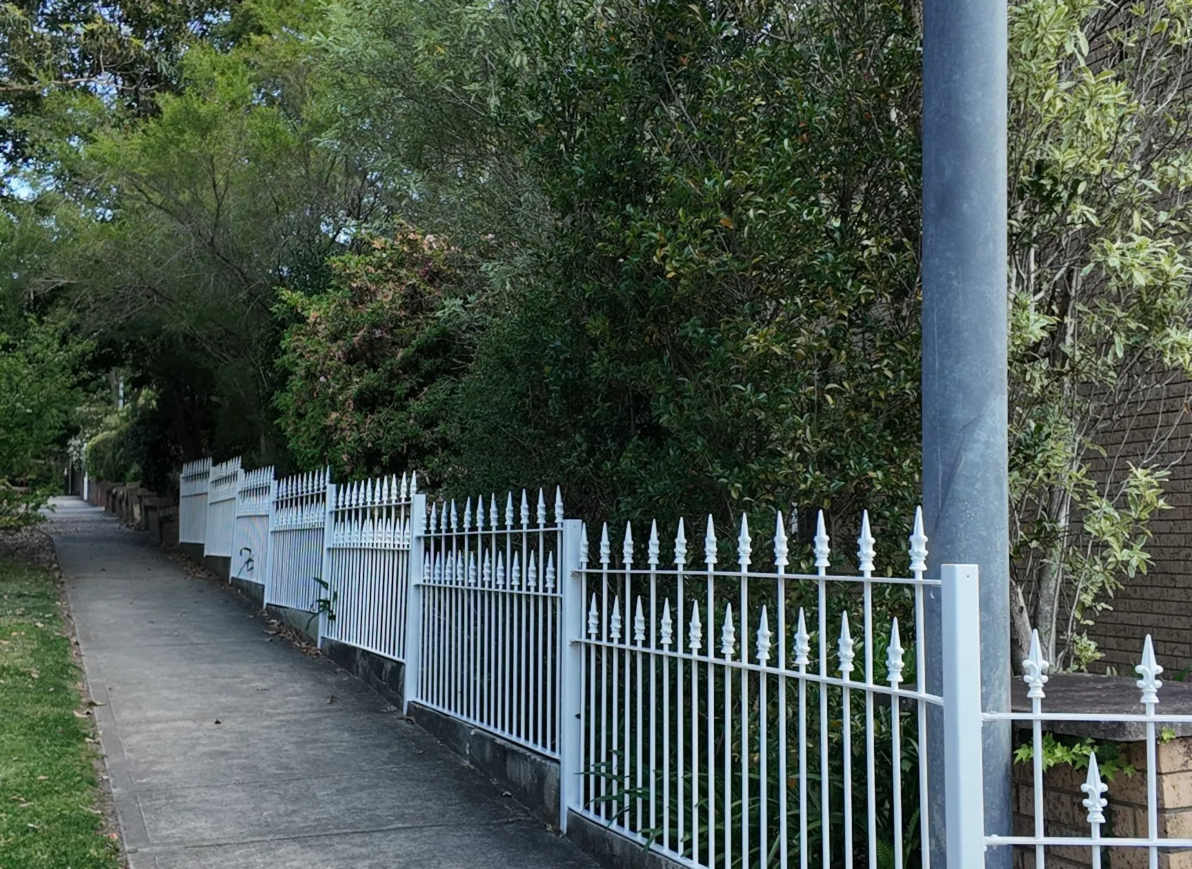 Fence Painting